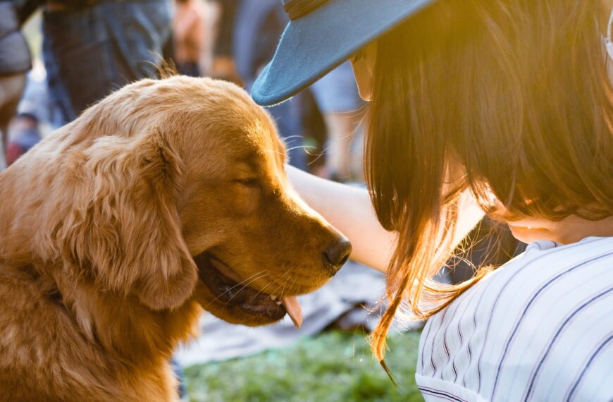 Therapy Dogs at West Chester University