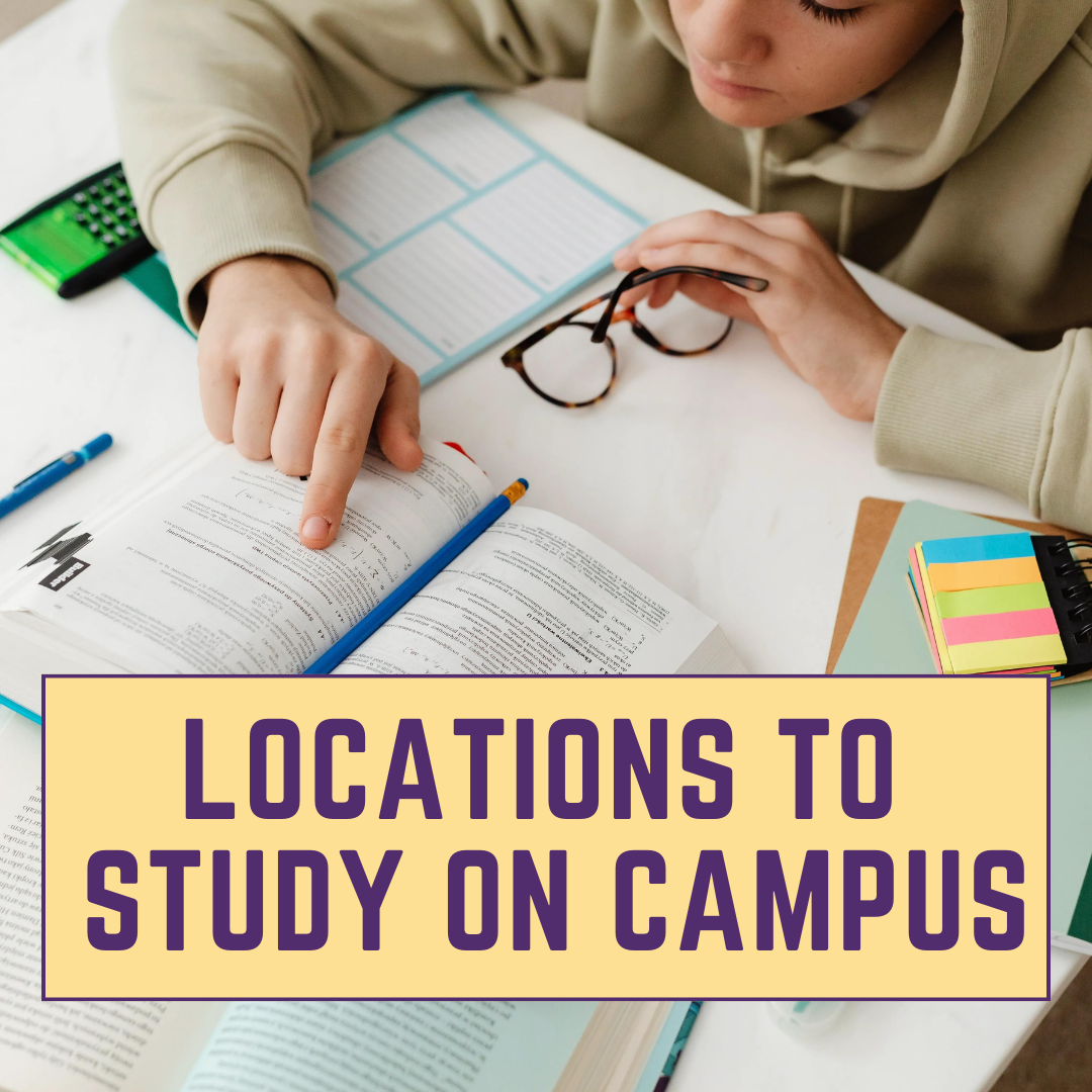 Locations to study on campus